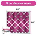Color Changing 25x25 Air Filter for Pets