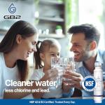 GB2 DW2053FR-10 Refrigerator Water Filter Pack of 3
