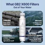 GB2 DW2053FR-10 Refrigerator Water Filter Pack of 3