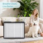 20x25x4 MERV 13 Replacement Air Filters - 2 Pack