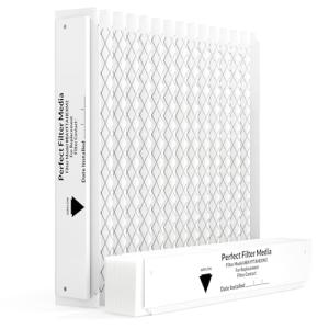 BAYFTFREXM2 20x25x5 MERV 13 Air Filter 2-Pack