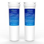 EcoAqua EFF-6017A Filter for Fisher&Paykel, 2-Pack