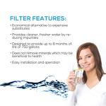 EcoAqua EFF-6017A Filter for Fisher&Paykel, 2-Pack