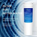 EcoAqua EFF-6017A Filter for Fisher&Paykel, 2-Pack