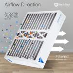 Nordic Pure MERV 10 Air Filters 2-Pack