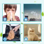 Replacement Air Filter for Bryant/Carrier 20"x20