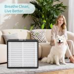 2-Pack 20x20x4 MERV 13 Air Filters