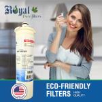 Royal Pure RPF-640565 Refrigerator Water Filter