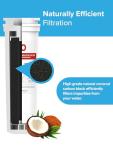 Brio Refrigerator Filter for Fisher & Paykel, Amana