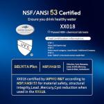 Belvita Water Filter Compatible with Popular Models, 3 Pack