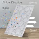 Nordic Pure 12x30x1 MERV 6 Air Filters 4-Pack