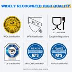 Golden IcePure RWF0100A Water Filter 3-Pack