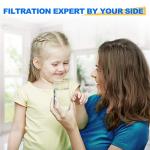 Golden IcePure RWF0100A Water Filter 3-Pack