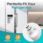 ICEPURE Pro Replacement Water Filter 4-Pack