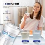 FRIGILIFE RWF0600A Water Filter Replacement 2-Pack