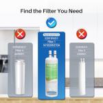 AQUALINK EDR1RXD1 Replacement Water Filter 2-Pack