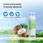 AQUALINK EDR1RXD1 Replacement Water Filter 2-Pack