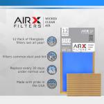14x24x1 Air Filter - 12 Pack for Dust