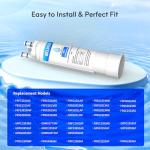 BelVita Refrigerator Water Filter Replacement (2 Pack)