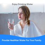 BELVITA Water Filter Replacement for Frigidaire (3 Pack)