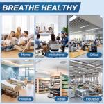 MERV 13 Pleated Air Filter (6-Pack)