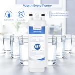 TEEHAY EDRARXD1 Water Filter 3 Pack