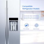 TEEHAY Water Filter 2 Pack Replacement Compatible