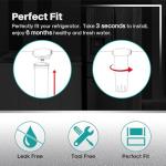 ICEPURE Replacement Water Filter for Fisher & Paykel