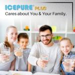 ICEPURE Replacement Water Filter for Fisher & Paykel