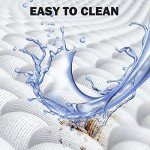 Wowreed Pool Filter Compatible with C1200, cx1200re, PA120, C-8412, FC-1293, Clearwater II 125, Pro Clean 125, 120 sq. ft, 1 Pack