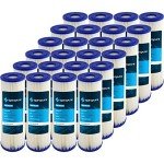 SpiroPure SP-EC20 10x2.5 20 Micron Pleated Cellulose Sediment Water Filter Cartridge ECP20-10 255483-43 (Case of 24)