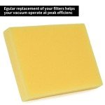 Eagles Pack of 4 Pre-Motor Foam Filter(2032662) compatible with Bissell 1008 CleanView Powerlifter Vacuum