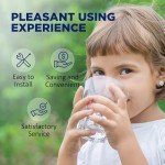 5 Micron CTO Carbon Block Water Filter 4-Pack