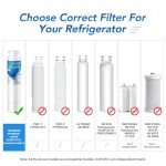 ICEPURE RWF5800A Water Filter for Frigidaire 2-Pack