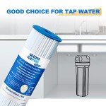 5 Micron Whole House Sediment Water Filter 2-Pack