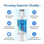 ICEPURE LG LT1000P & LT120F Filter Combo