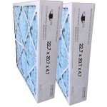 MERV 11 Trane Compatible Filters - 2 Pack