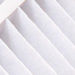 Nordic Pure MERV 12 Replacement Air Filter 20x25