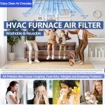 Demiwise Washable Air Filters 20x30x1 (2 Pack)