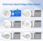 Waterdrop EDR1RXD1 Refrigerator Water Filter Replacement
