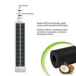 EDR5RXD1 Refrigerator Water Filter Replacement - 3 Pack