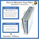 Trion Air Bear Supreme Replacement Media Filter 2-Pack