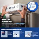 BNX TruFilter MERV 13 Air Filter 2-Pack