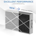 Merv 16 Carbon Air Filter 20x25x5 (2 Pack)