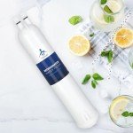 TEEHAY 9083 Refrigerator Water Filter Replacement (2 Pack)