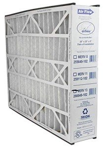 Trion Air Bear 20"x25"x5" MERV 13 Filter