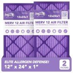 MERV 12 Air Filters 12x24x1 (2-Pack)