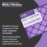16x20x1 Pleated Air Filters | MOAJ Elite Allergen Defense