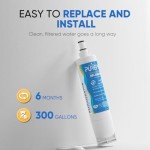 PUREPLUS 4396508 Refrigerator Water Filter 2-Pack