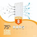 Accumulair Gold 20x30x2 Air Conditioner Filters (4-Pack)